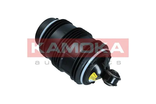 Air Spring, suspension 2079053