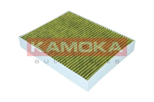 Filter, cabin air 6080060