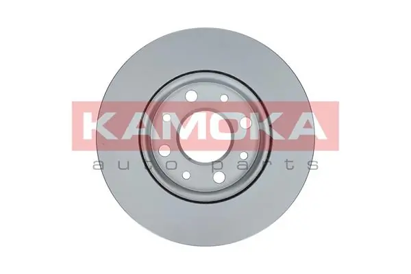 Brake Disc 1032158