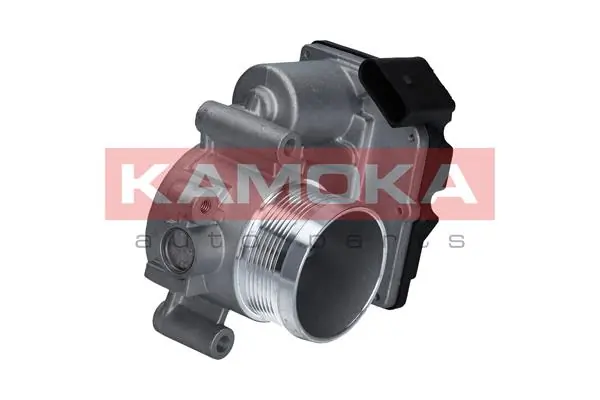 Throttle Body 112012