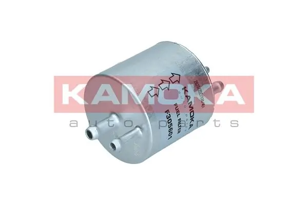 Fuel Filter F305601