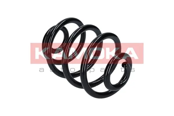 Suspension Spring 2120142