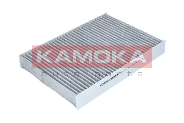 Filter, cabin air F509401