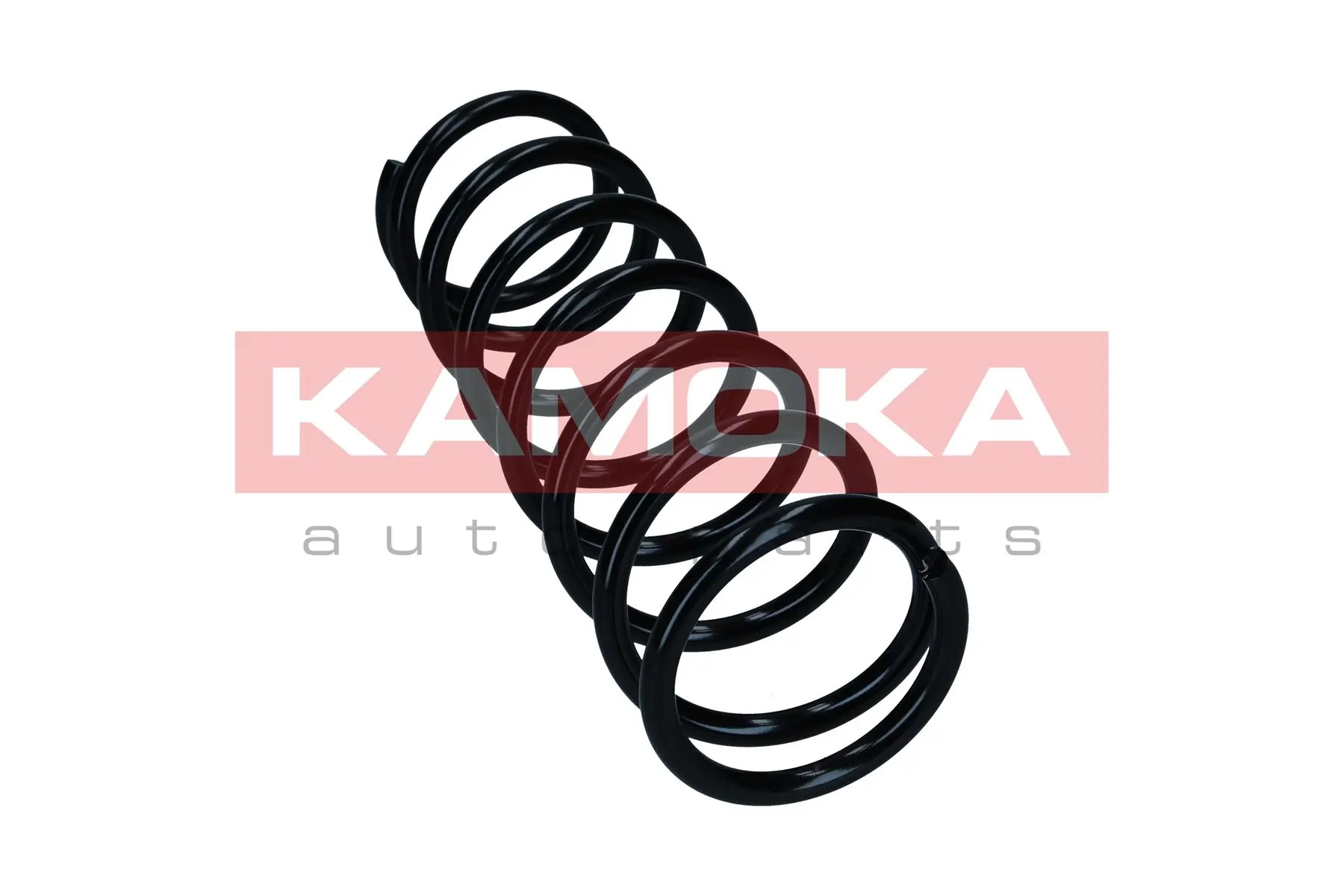 Suspension Spring 2120457