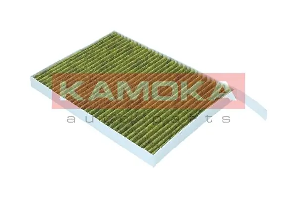 Filter, cabin air 6080164