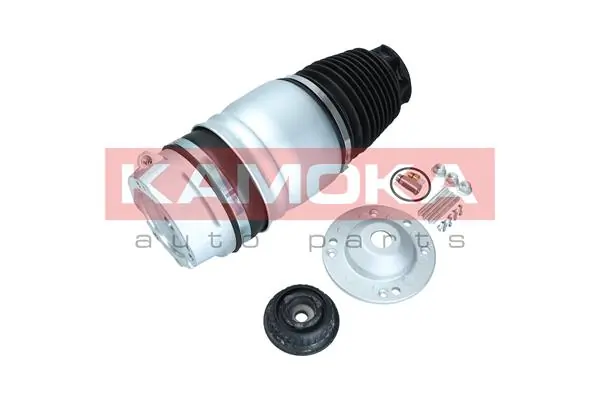 Air Spring, suspension 2079010