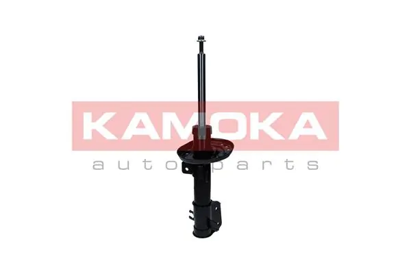 Shock Absorber 2000576