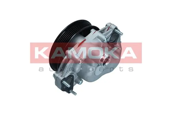Water Pump, engine cooling T0291