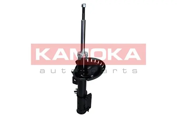 Shock Absorber 2000524