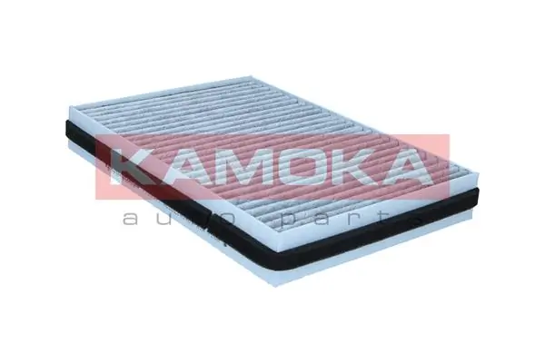 Filter, cabin air F524501