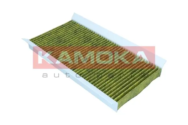 Filter, cabin air 6080058