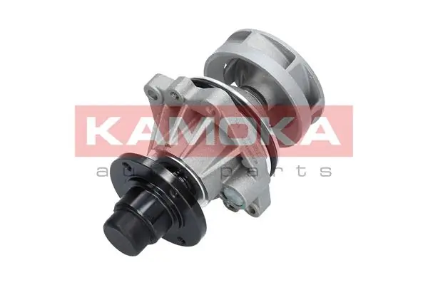 Water Pump, engine cooling T0058