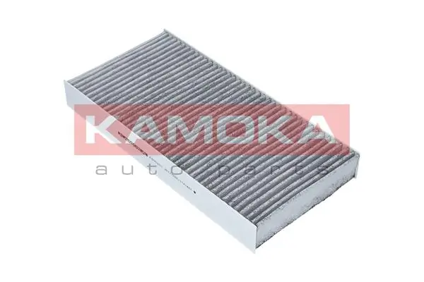 Filter, cabin air F505201