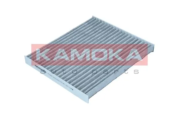 Filter, cabin air F519001