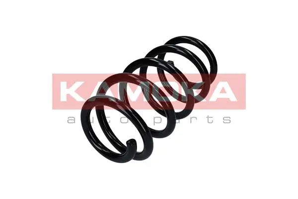 Suspension Spring 2110341