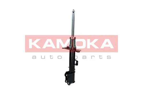 Shock Absorber 2000293