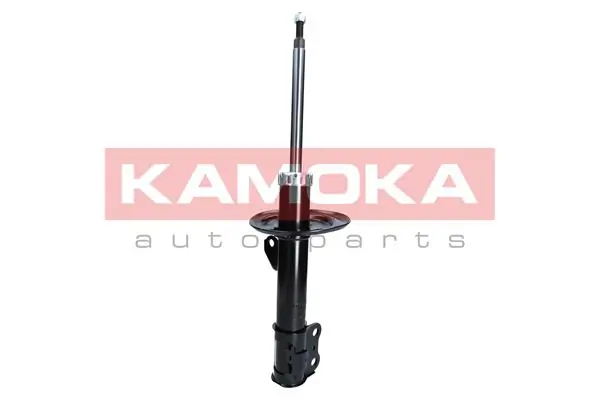 Shock Absorber 2000255