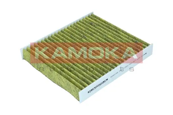 Filter, cabin air 6080146