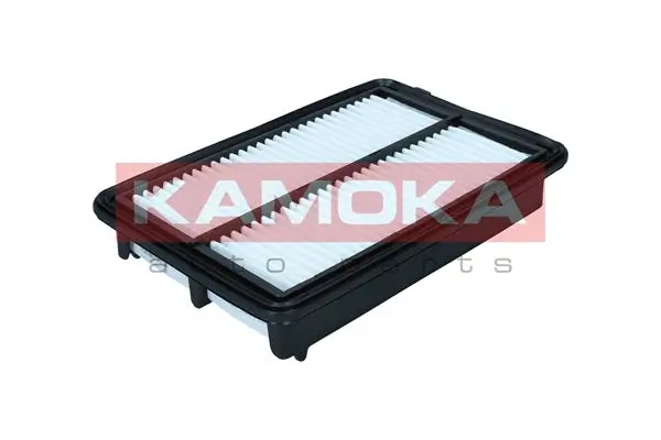 Air Filter F256801