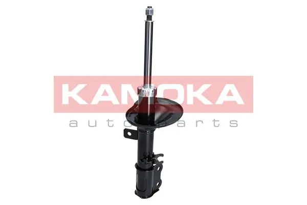 Shock Absorber 2000239