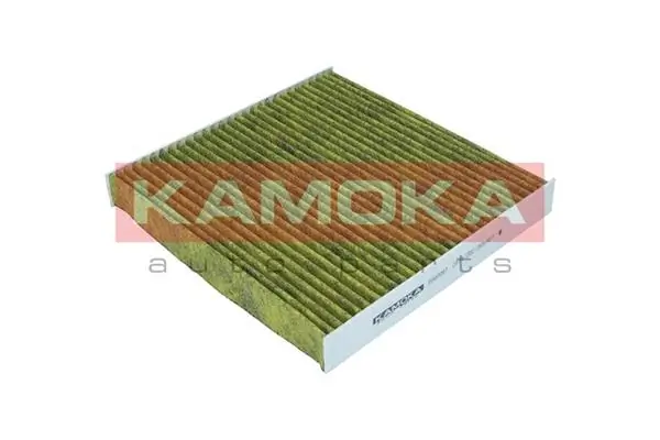 Filter, cabin air 6080087