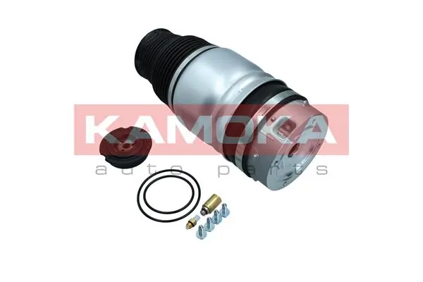Air Spring, suspension 2079007