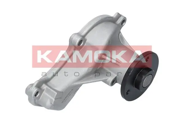 Water Pump, engine cooling T0151