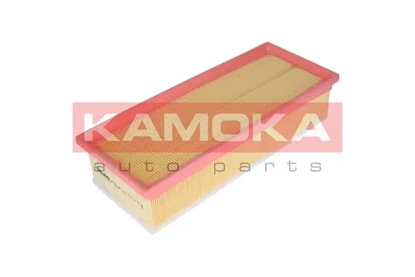 Air Filter F229701
