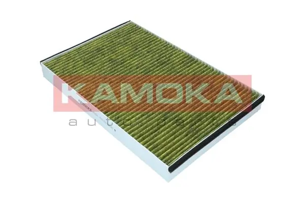 Filter, cabin air 6080063