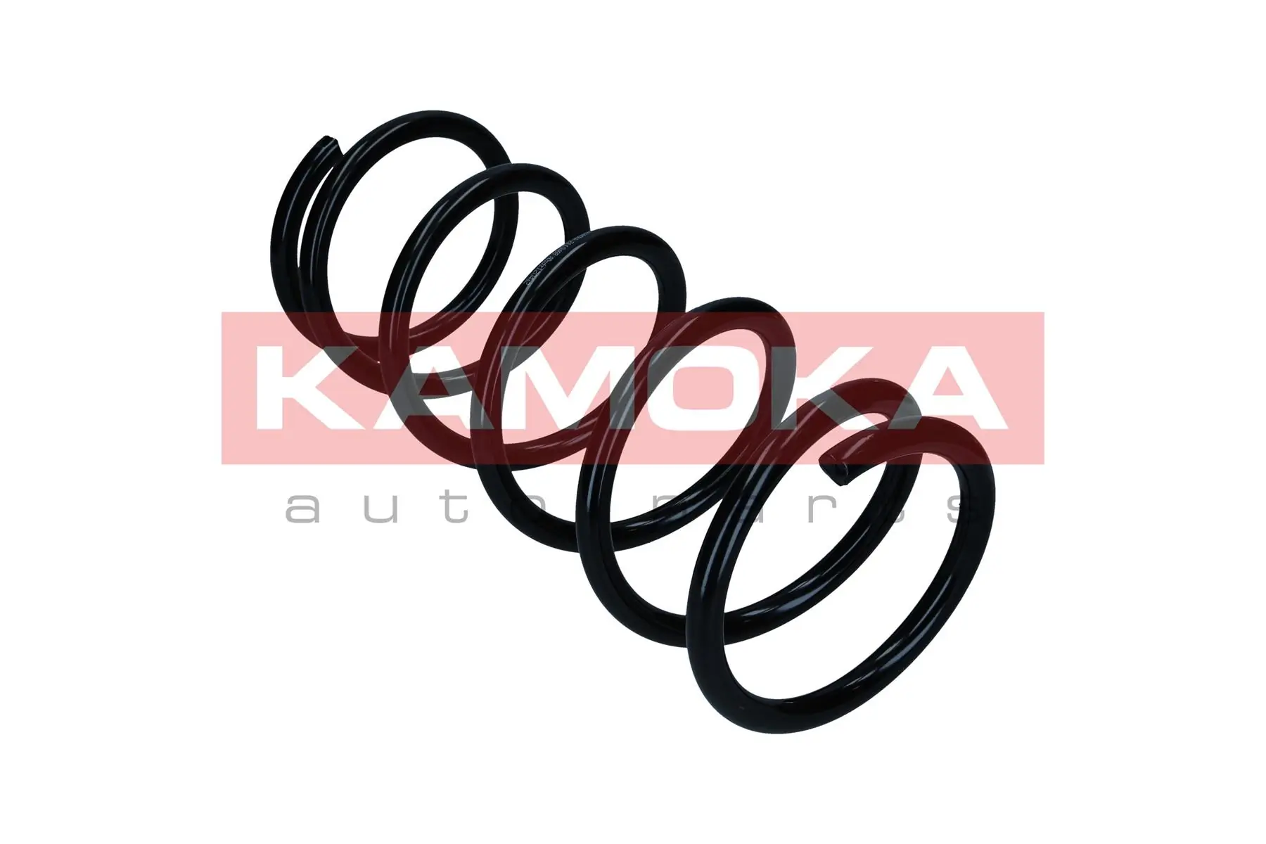 Suspension Spring 2110748