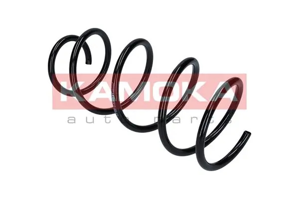 Suspension Spring 2110113