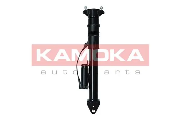 Air Suspension Strut 2070017