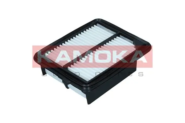 Air Filter F259701