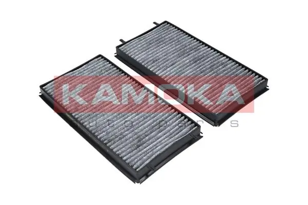 Filter, cabin air F505601