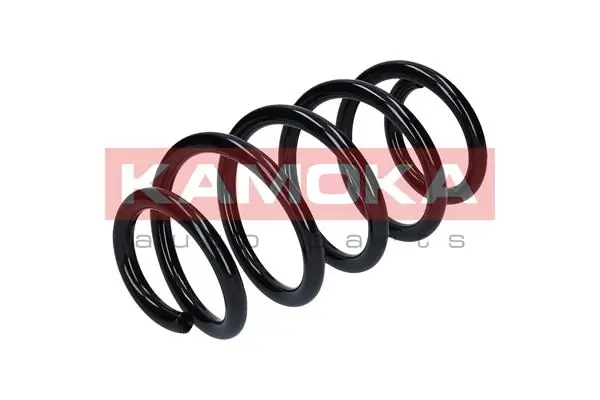 Suspension Spring 2120132