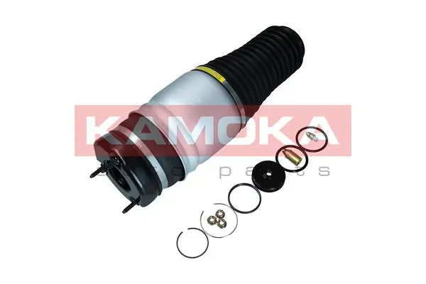 Air Spring, suspension 2079027