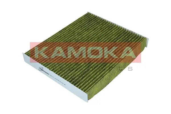 Filter, cabin air 6080110
