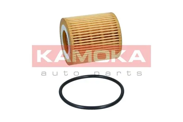 Oil Filter F125001