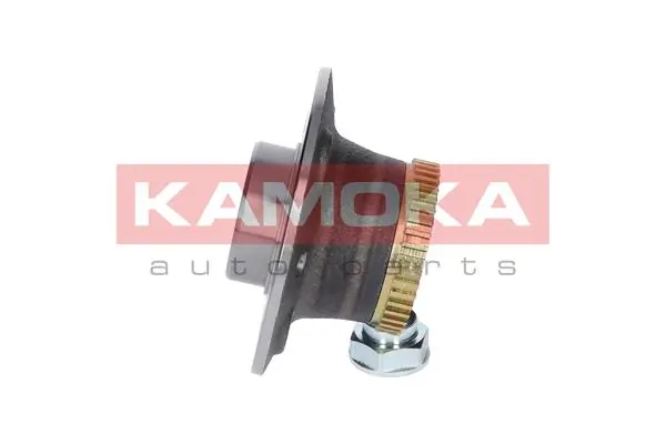 Wheel Bearing Kit 5500001