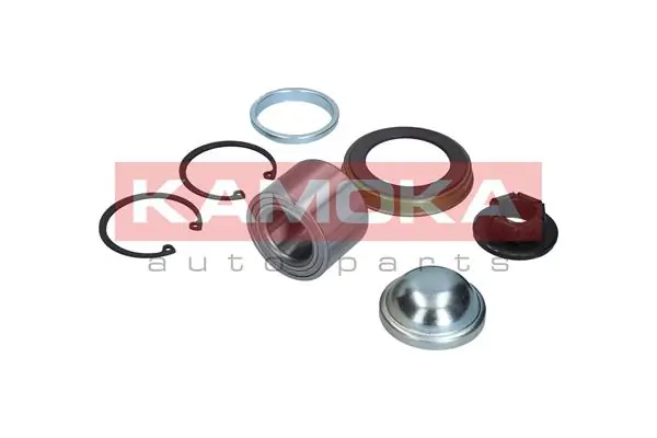 Wheel Bearing Kit 5600012