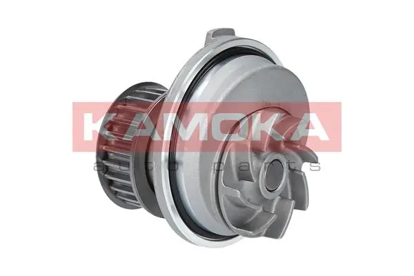 Water Pump, engine cooling T0229