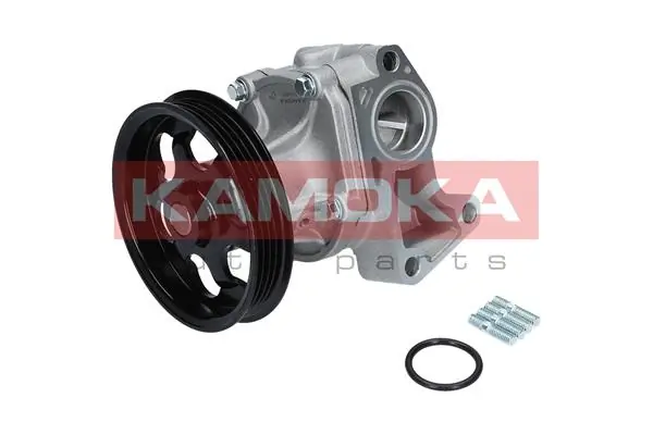 Water Pump, engine cooling T0266