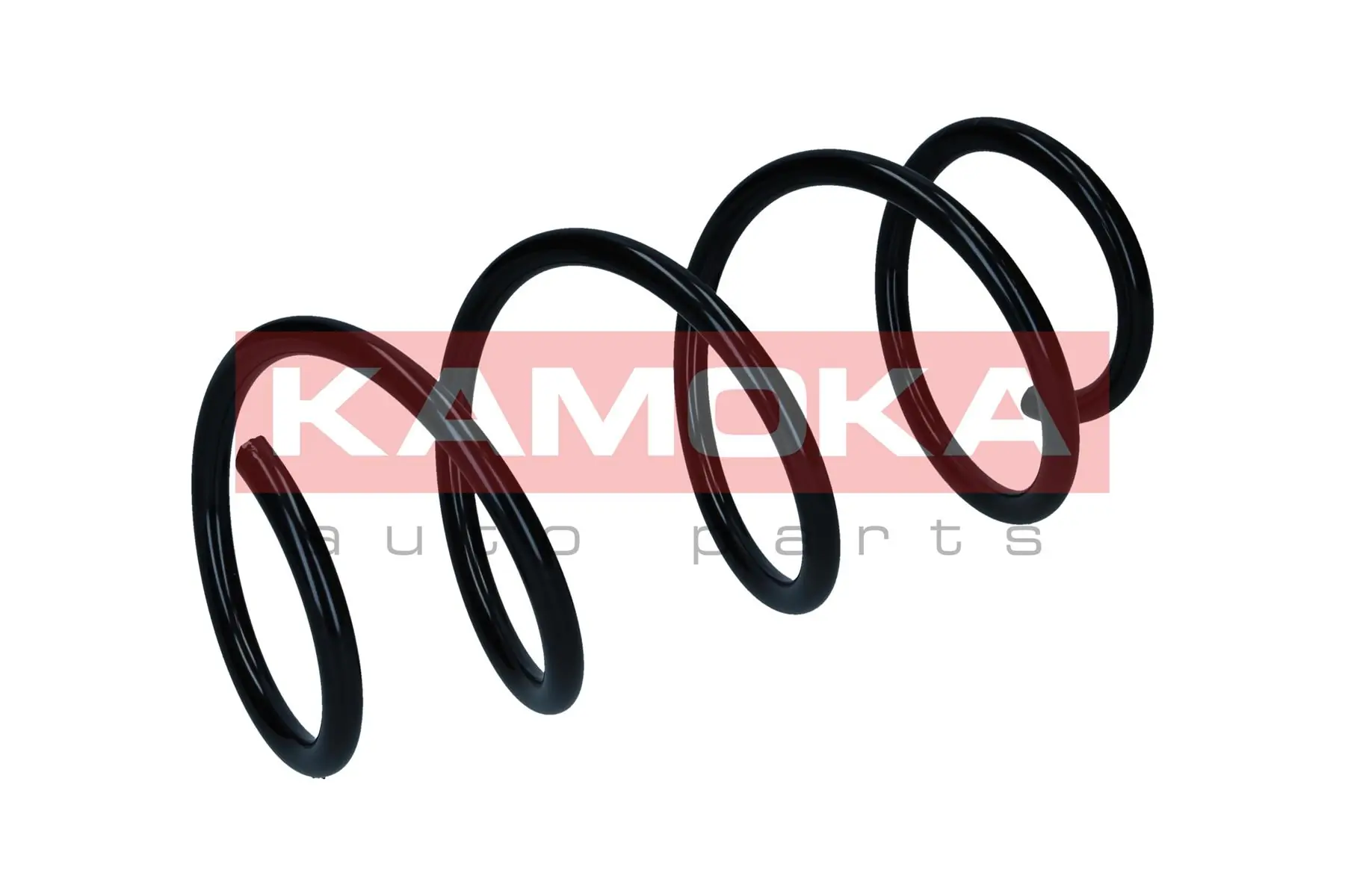 Suspension Spring 2110651