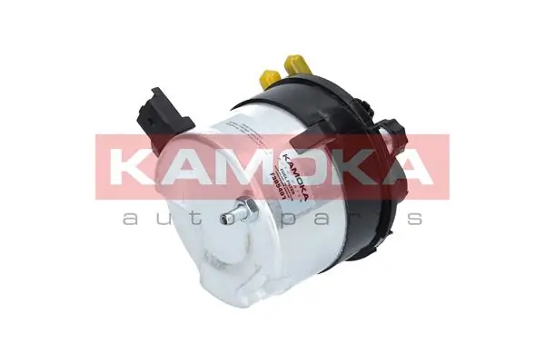 Fuel Filter F301501