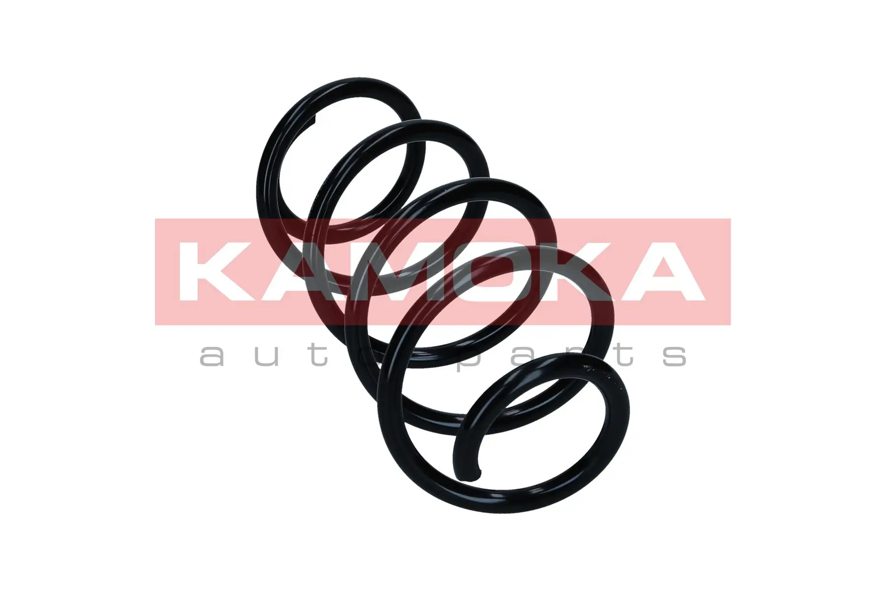 Suspension Spring 2110846