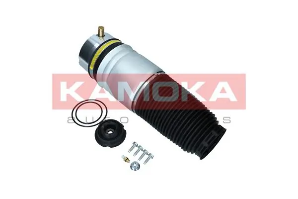 Air Spring, suspension 2079009