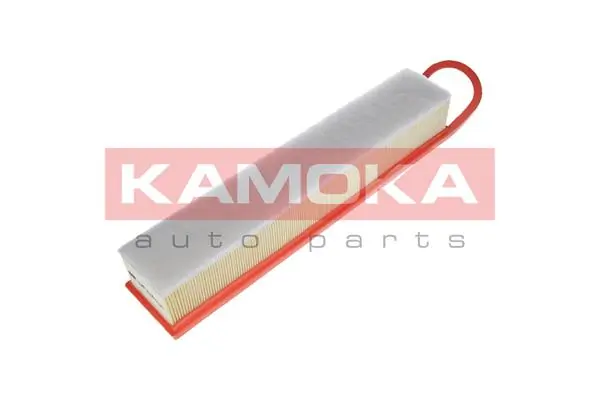 Air Filter F221601