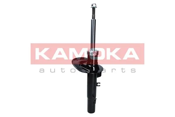 Shock Absorber 2000506