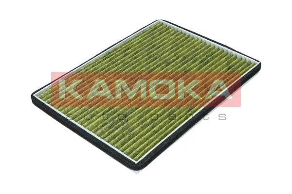 Filter, cabin air 6080167