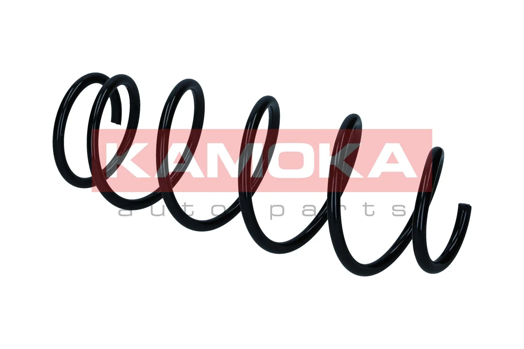 Suspension Spring 2110462